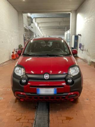 FIAT Panda Cross usata, con Fendinebbia