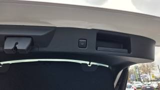 FORD Kuga usata, con Cronologia tagliandi