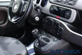 FIAT Panda Cross usata 57