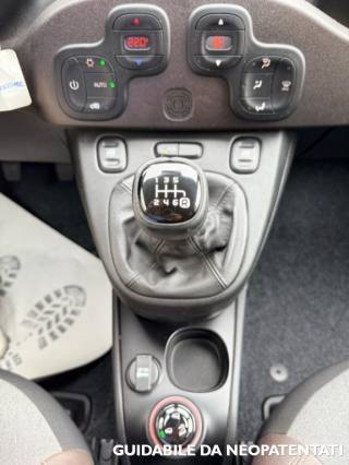 FIAT Panda Cross usata, con Fendinebbia