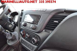 IVECO Daily usata 22