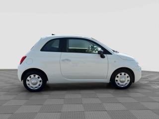 FIAT 500 usata 5