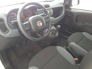 FIAT Panda usata, con Boardcomputer