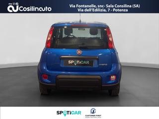 FIAT Panda usata, con Airbag Passeggero