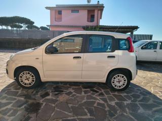 FIAT Panda usata, con Climatizzatore