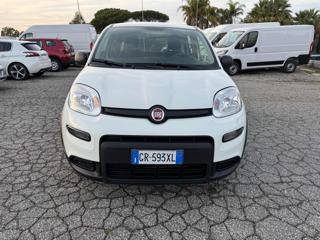 FIAT Panda usata, con Airbag