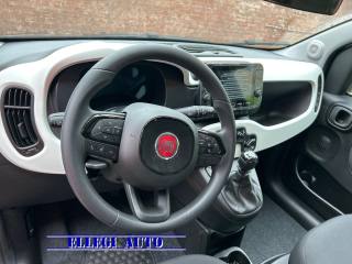FIAT Pandina Cross usata, con Servosterzo