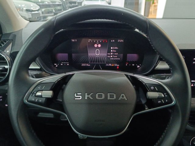 SKODA Fabia usata, con Bracciolo