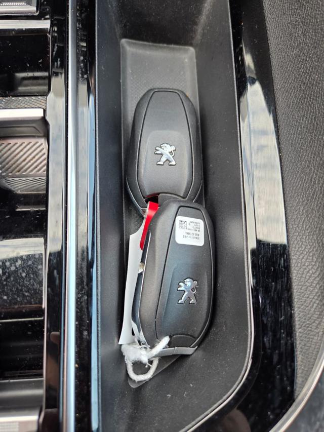 PEUGEOT 3008 usata, con Specchietti laterali elettrici