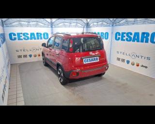 FIAT New Panda usata, con Alzacristalli elettrici