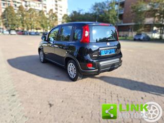 FIAT Panda usata, con Immobilizzatore elettronico