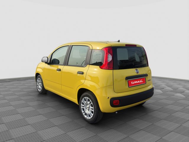 FIAT Panda usata 2