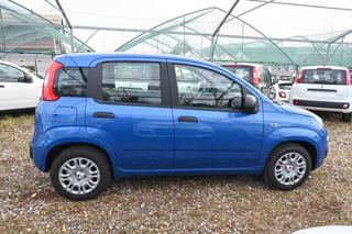 FIAT Panda usata, con USB