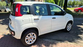 FIAT Panda usata, con Boardcomputer