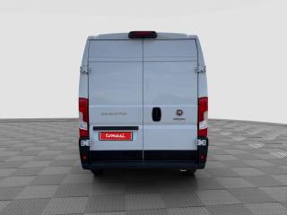 FIAT Ducato usata 3