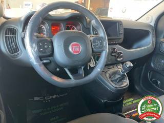 FIAT Panda Cross usata, con Controllo trazione