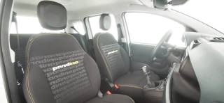 FIAT Panda usata 46