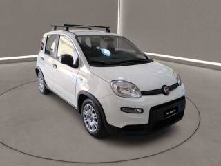 FIAT Panda usata, con Airbag