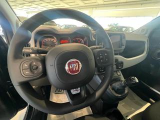 FIAT Panda usata, con Climatizzatore