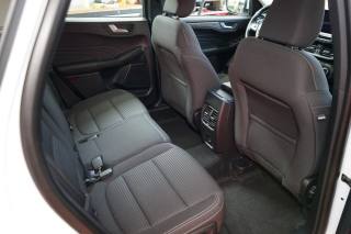 FORD Kuga usata, con Bracciolo