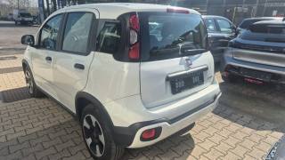 FIAT Panda Cross usata, con Antifurto