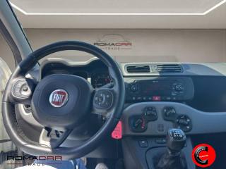 FIAT Panda usata, con Airbag testa