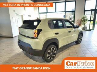 FIAT Grande Panda usata, con Boardcomputer