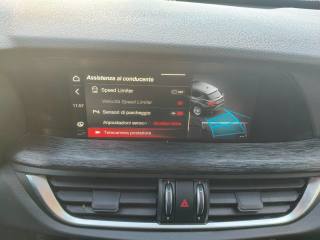 ALFA ROMEO Stelvio usata, con Fendinebbia