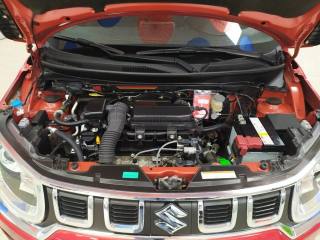 SUZUKI Ignis usata, con Sedili riscaldati