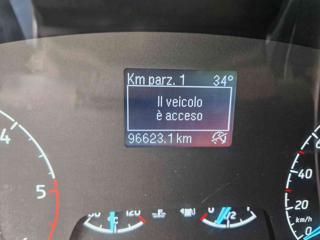 FORD Transit Custom usata, con Cruise Control