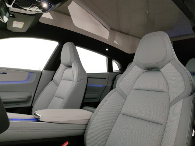 POLESTAR Polestar 4 usata, con Controllo trazione