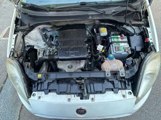 FIAT Punto usata 19