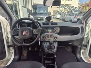 FIAT Panda usata, con ESP