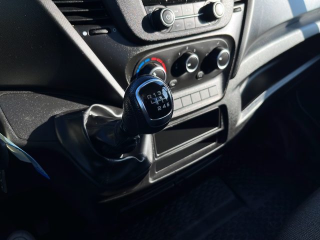 IVECO Daily usata 12