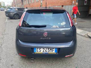 FIAT Punto usata, con Airbag testa