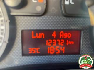 FIAT Panda usata 13