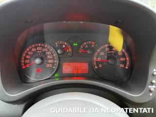 FIAT Panda usata, con Controllo automatico clima