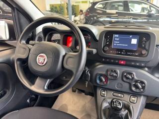 FIAT Panda usata, con Servosterzo