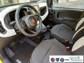 FIAT Panda usata, con Fendinebbia