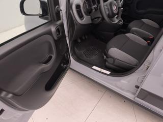 FIAT Panda usata 39