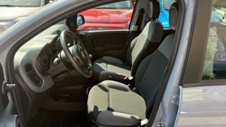 FIAT Panda usata, con Airbag testa