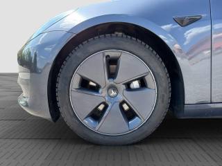 TESLA Model 3 usata 15