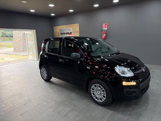 FIAT Pandina usata, con Pneumatici estivi