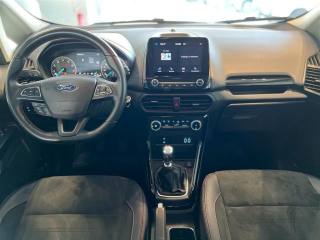 FORD EcoSport usata, con Vetri oscurati