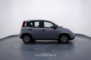 FIAT New Panda usata, con Isofix