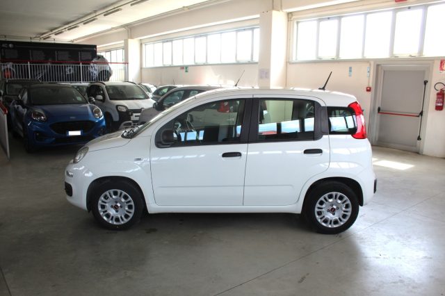 FIAT Panda usata, con Airbag Passeggero