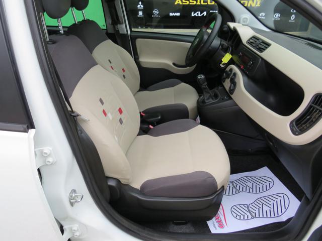 FIAT Panda usata 21