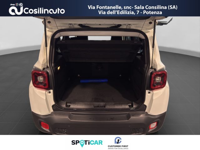 JEEP Renegade usata, con Park Distance Control