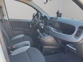 FIAT Panda usata, con Controllo trazione