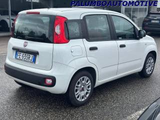FIAT Panda usata, con Autoradio